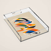 //05 Acrylic Tray