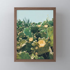 A Field of Prickly Pear Cactus Mini Art Print