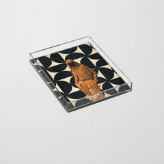 1978 - Annie Retro collection Acrylic Tray