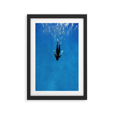 140912-4099 Framed Art Print