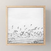 "Seagulls" | Coastal black and white photo | Film photography | Beach - square Mini Art Print