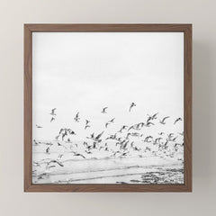 "Seagulls" | Coastal black and white photo | Film photography | Beach - square Mini Art Print