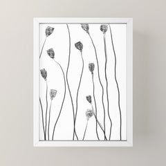 A group of poppy heads Mini Art Print