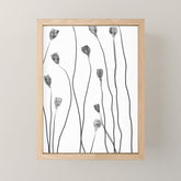 A group of poppy heads Mini Art Print
