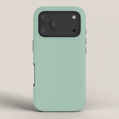 1950s Mint Green Solid iPhone Case