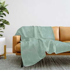 1950s Mint Green Solid Throw Blanket
