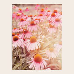 37 Flowers Poster