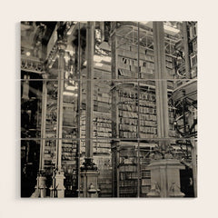 A Book Lover's Dream - Cincinnati Public Library black and white photographs / black and white photo Wood Wall Art