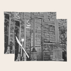 A Book Lover's Dream - Cincinnati Public Library black and white photographs / black and white photo Placemat