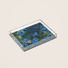 A Blueberry View Acrylic Tray