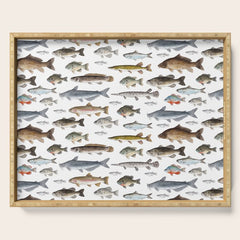 A Few Freshwater Fish Serving Tray