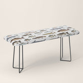 A Few Freshwater Fish Bench