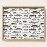A Few Freshwater Fish Serving Tray