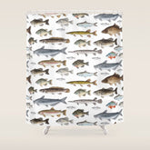 A Few Freshwater Fish Shower Curtain