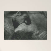 1912, The Kiss, Lovers black and white photography by Anne Brigmann Welcome Mat