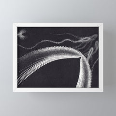 "Dolphins" by M.C. Escher Mini Art Print