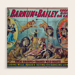1910 Barnum & Bailey Circus Dancing Lions - M'lle Adgi's Acting Vintage Poster Wood Wall Art