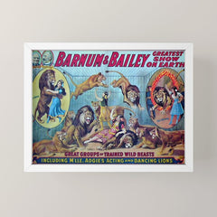 1910 Barnum & Bailey Circus Dancing Lions - M'lle Adgi's Acting Vintage Poster Mini Art Print