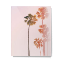 #44 Metal Print