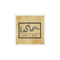 1776 "Join, or Die" Revolutionary War flag with 13 colonies, snake & no colors by Benjamin Franklin Art Print