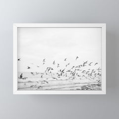 "Seagulls" | Coastal black and white photo | Film photography | Beach Mini Art Print