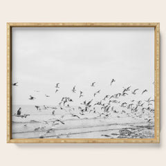 "Seagulls" | Coastal black and white photo | Film photography | Beach Serving Tray
