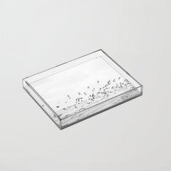 "Seagulls" | Coastal black and white photo | Film photography | Beach Acrylic Tray
