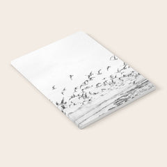 "Seagulls" | Coastal black and white photo | Film photography | Beach Notebook