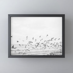 "Seagulls" | Coastal black and white photo | Film photography | Beach Mini Art Print