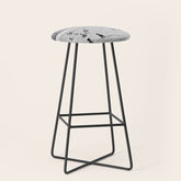 1895 Narragansett Pier and Beach, Narragansett, Rhode Island Stool