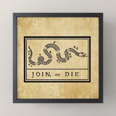 1776 "Join, or Die" Revolutionary War flag with 13 colonies, snake & no colors by Benjamin Franklin Mini Art Print