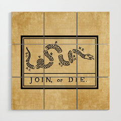 1776 "Join, or Die" Revolutionary War flag with 13 colonies, snake & no colors by Benjamin Franklin Wood Wall Art