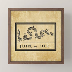 1776 "Join, or Die" Revolutionary War flag with 13 colonies, snake & no colors by Benjamin Franklin Mini Art Print