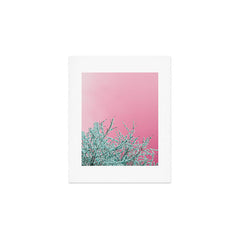"cherry blossoms" Art Print