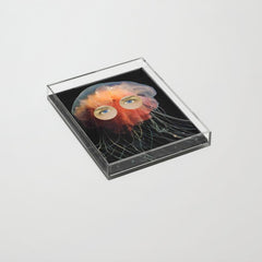 A (very) Jelly Fish Acrylic Tray
