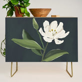 A flower in a vase Credenza