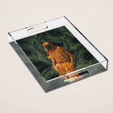 1974 - Annie Retro collection Acrylic Tray