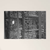 A book lovers dream - Cast-iron Book Alcoves Cincinnati Library black and white photography Welcome Mat