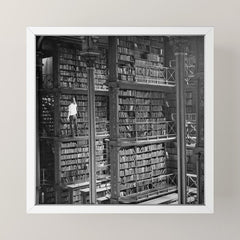 A book lovers dream - Cast-iron Book Alcoves Cincinnati Library black and white photography Mini Art Print