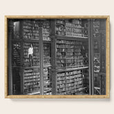 A book lovers dream - Cast-iron Book Alcoves Cincinnati Library black and white photography Serving Tray