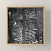A book lovers dream - Cast-iron Book Alcoves Cincinnati Library black and white photography Mini Art Print