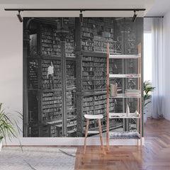 A book lovers dream - Cast-iron Book Alcoves Cincinnati Library black and white photography Wall Mural