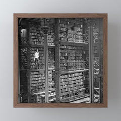 A book lovers dream - Cast-iron Book Alcoves Cincinnati Library black and white photography Mini Art Print