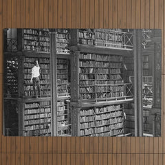 A book lovers dream - Cast-iron Book Alcoves Cincinnati Library black and white photography Outdoor Rug