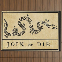 1776 "Join, or Die" Revolutionary War flag with 13 colonies, snake & no colors by Benjamin Franklin Outdoor Rug