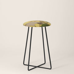 16th Century Japanese Birds & Flowers Stool