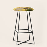 16th Century Japanese Birds & Flowers Stool