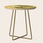 16th Century Japanese Birds & Flowers Side Table