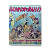 1910 Barnum & Bailey Circus Dancing Lions - M'lle Adgi's Acting Vintage Poster Metal Print