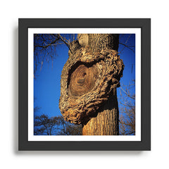 "Broken/hearted" by Maria Popova Framed Art Print